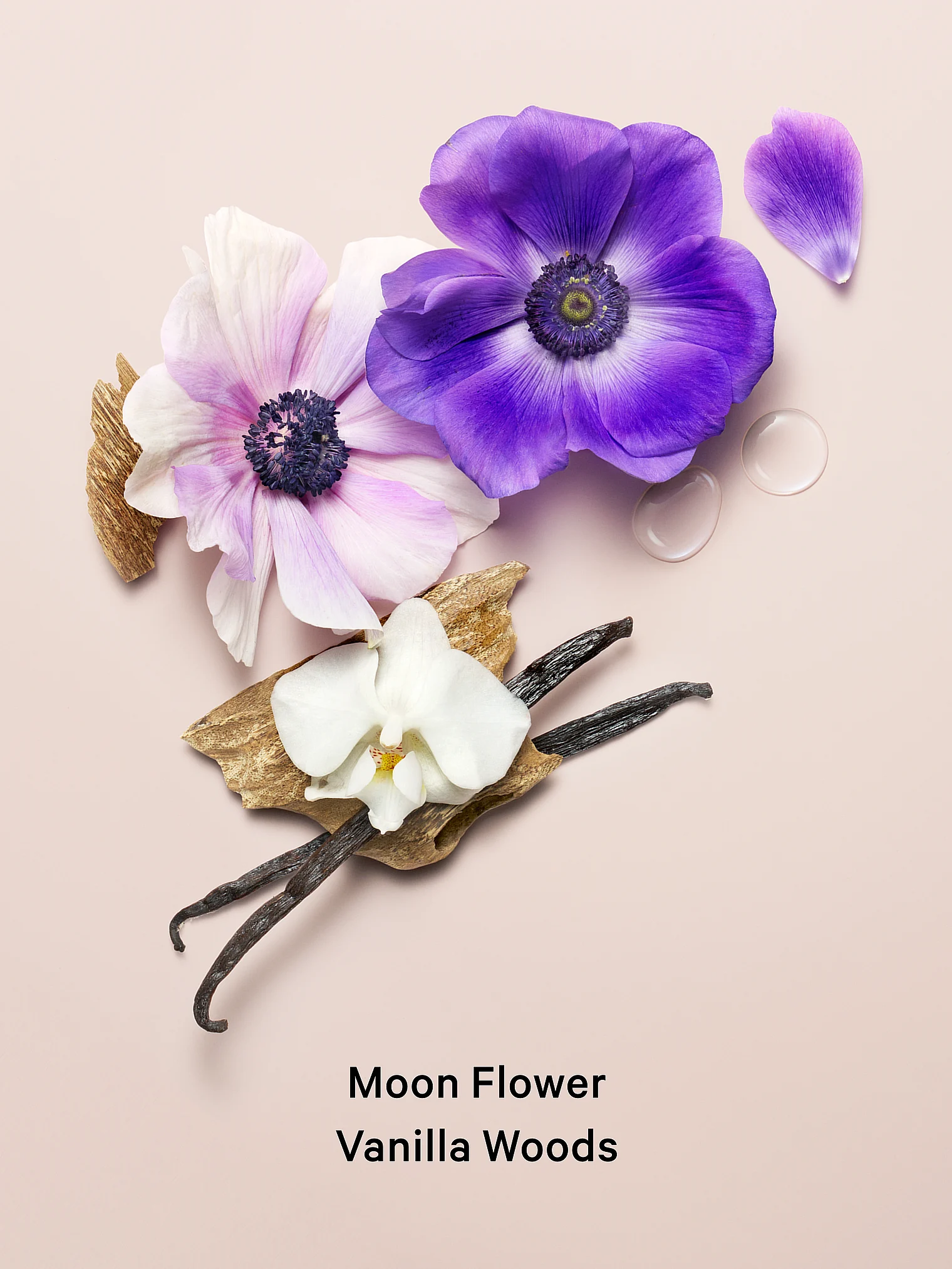 Balsam zapachowy Midnight Bloom